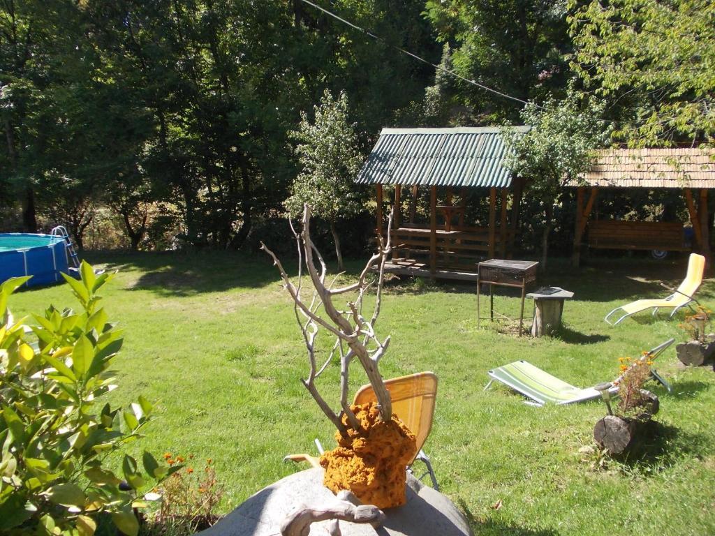Pensiunea Adina Cavnic Exterior photo