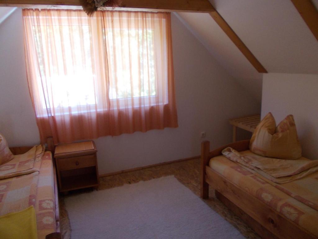 Pensiunea Adina Cavnic Room photo
